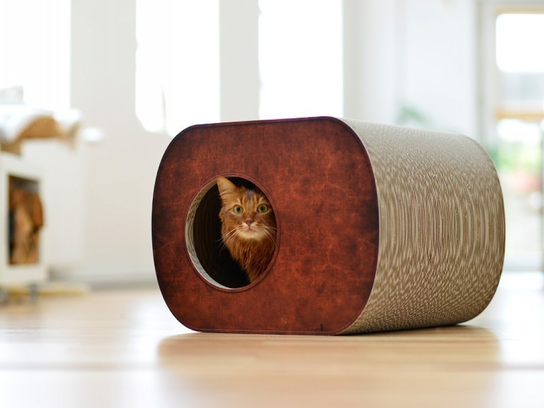 Les Meilleures Niches Pour Chat Comparatif & Guide D’achat En Juin 2024