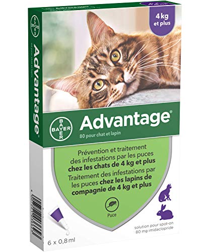 Les Meilleurs Anti Puces Pour Chat Comparatif Guide D Achat En Dec 21 Les Meilleurs Anti Puces Pour Chat Comparatif Guide D Achat En Dec 21